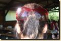 dsc05535.jpg